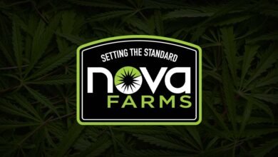 Nova Farms Woodbury