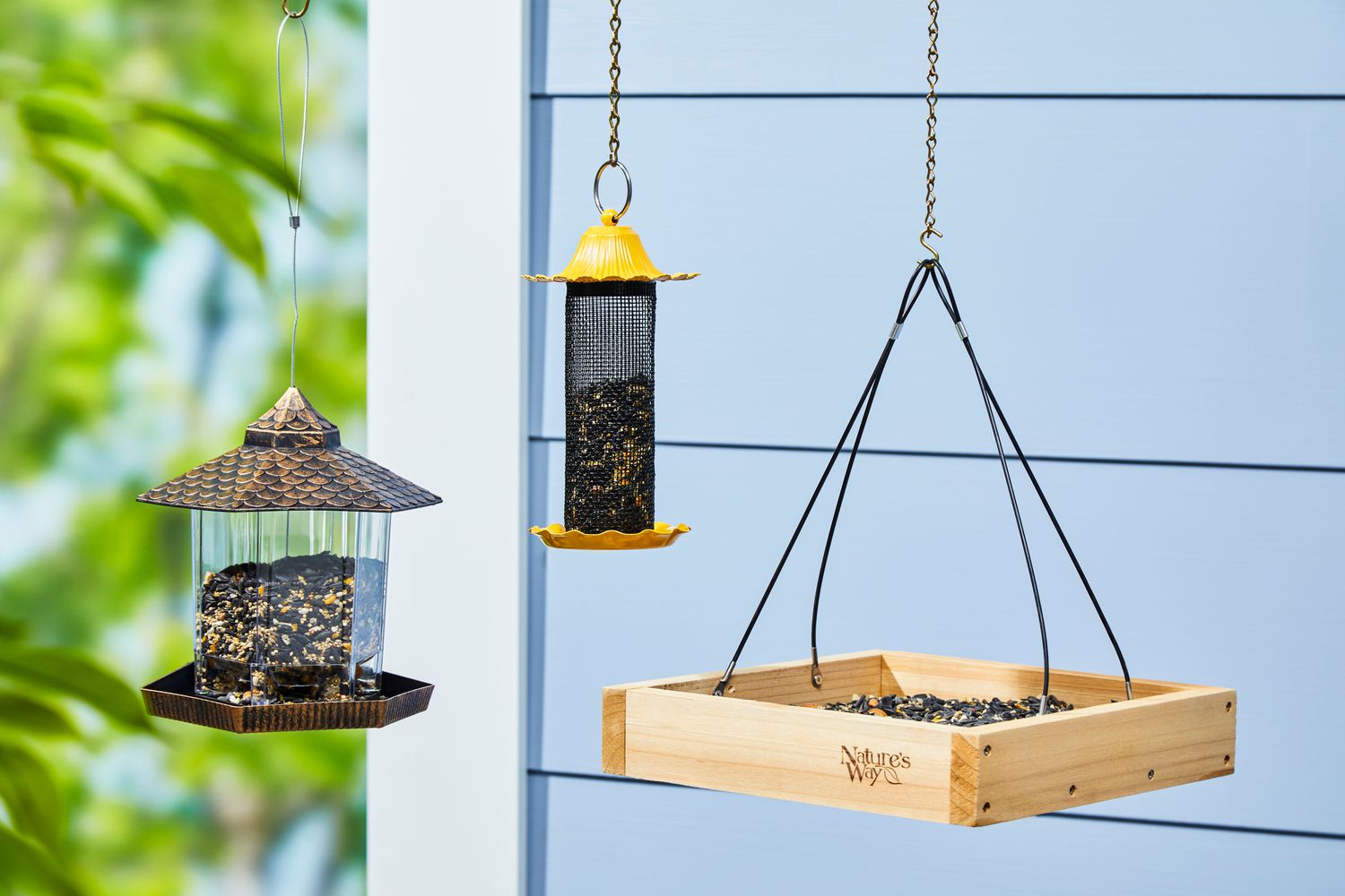 Which Bird Feeder is Right for You? A Comprehensive Buying Guide