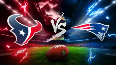 houston texans vs new england patriots match player stats