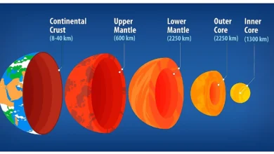 true facts about the atraian plate​